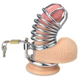 Lovetoy 2022 Kletka Za Penis Lovetoy Metal Chastity | Shoptok.si