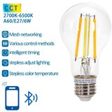 Aigostar led sijalica filament A60 E27/6W/230V 2700-6500K | Eponuda.com