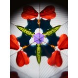 Sinsay Igračka kaleidoskop | shoptok.hr