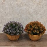 Dekordom cvet u saksiji - succulent HX0461 - N38 Cene