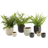 Modern Living Okrasni Lonček Mood | Shoptok.si