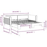  Izvlečna dnevna postelja temno siva 100x200 cm žamet, (20929606) | Shoptok.si