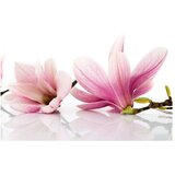  Tapeta - Magnolia flower 250x193 | shoptok.hr