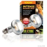 Hagen Sun Glo Intense Basking Lamp 100 W