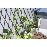 Windhager Vrbova mreža | Shoptok.si