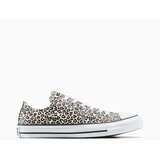Converse Ženske patike chuck taylor all star leopard | Eponuda.com