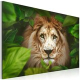 Slika - Eyes of the jungle 90x60 Cijene