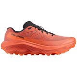 Salomon Ultra Flow 2 patike Cene