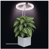  LED prigušiva unutrašnja lampa za uzgoj biljaka GROW LED/8W/5V | Eponuda.com