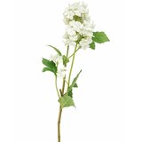 DEKOR DOM Cvet elder 1183181/3 - white - edl Cene
