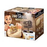 BUKI Dino skelet 104872 | Eponuda.com