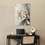  Slika - White Dahlia 80x120 | shoptok.hr