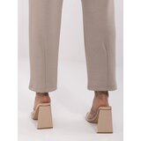 Italy Moda Trousers-DHJ-SP-20523.66P-dark beige | shoptok.hr