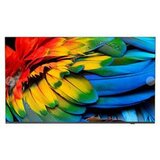 Philips Pametni televizor 58HFL6214U/12 4K Ultra HD, (5000540198) | Shoptok.si