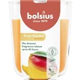 Dišeča sveča True Scents velika - mango