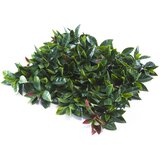 Inter Ceramic umjetni zeleni zid Porto 50x50 cm polietilen zelena/crvena | shoptok.hr