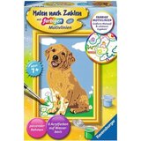  Slikanje po številkah - Mali zlati prinašalec Cene