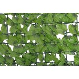 Windhager Zaštita od pogleda od trske (D x V: 3 x 1 m, Zelene boje, Plastika) u