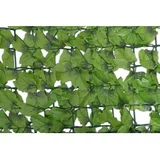 Windhager Zaštita od pogleda od trske (D x V: 3 x 1 m, Zelene boje, Plastika)