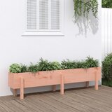 vidaXL Vrtna visoka greda 160x30x38 cm trden les douglas Cene