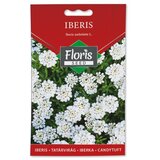 Floris seme cveće-iberis 05g FL Cene