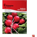Semenarna Ljubljana Redkvica "Burro gigante" - 8 g | Shoptok.si