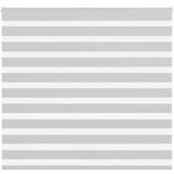 vidaXL Zavjesa zebra 165x100 cm širina tkanine 160,9 cm poliester | shoptok.hr