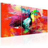  Slika - Colourful Toucan 60x30 Cijene