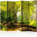 Artgeist PARAVAN 225/172/3 cm zelena, svetlo rjava Cene