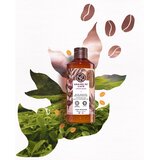Yves Rocher Bain de Nature negovalni gel za prhanje Coffee Beans 400 ml | Shoptok.si