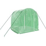  Staklenik s čeličnim okvirom zeleni 4 m² 2 x 2 x 2 m | shoptok.hr