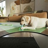 Irobot robotski kombinirani usisavač Roomba® Plus 515 Combo Robot + Baza AutoWash™ Black | shoptok.hr