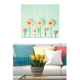 Wallity Set slika MDF545081356, 3 dijela | Eponuda.ba