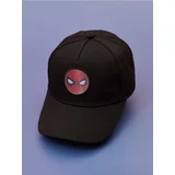 Šilterica Spider-Man