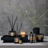Inscent Dišava Za Prostor Wonder Woman | Shoptok.si