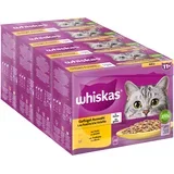 pakiranje Whiskas 1+ Adult vrečke 96 x 85 g - 11+ perutninski izbor v želeju