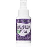 Purity Vision BIO Lavender sivkina voda 50 ml | Shoptok.si