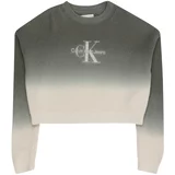 Calvin Klein Jeans Pulover bež / kraljevski zelena / srebro