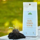 Die Stadtgärtner "Hello Sunshine" semenske bombice Cene