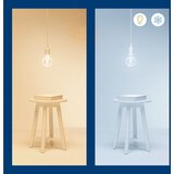 Wiz Sa žarnom niti pametna žarulja E27, 6 W – | shoptok.hr