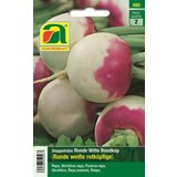 AUSTROSAAT Jesenska repa "Ronde Witte Roodkop" Cene