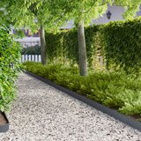  Ograda oko Travnjaka 30 pcs 103 x 15 cm metal Antracit | shoptok.hr