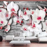  Tapeta - Callous orchids 100x70 Cijene
