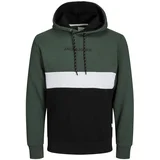 Jack & Jones Plus Majica 'Reid' temno zelena / črna / bela