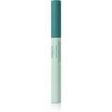 Payot P&acirc;te Grise Stylo Duo Purifiant Correcteur korektor za prekrivanje i redukciju nepravilnosti 2x3 ml cijene