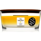 WoodWick Trilogy Fruits of Summer mirisna svijeća s drvenim fitiljem (hearthwick) 453 g Cijene