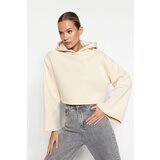 Trendyol Exposed Stones Thick Fleece Inside Relaxed Cut Crop Spanish Sleeves Hooded Knitted Sweatshirt | Shoptok.si