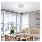 Rabalux Celie Plafonjere ( 71168 ) | ePonuda.com