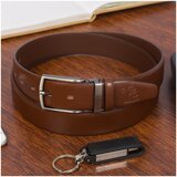 Beltimore krae37125 sarena | shoptok.hr