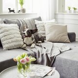 Modern Living Mehka Odeja Pet | Shoptok.si